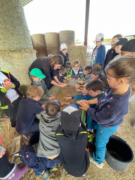 Quelle: Grundschule Oberschopfheim